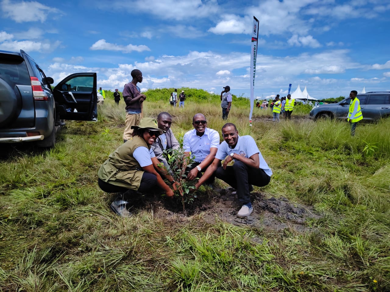 SASRA and Cooperative Sector Lead Massive Tree Planting Drive to ...